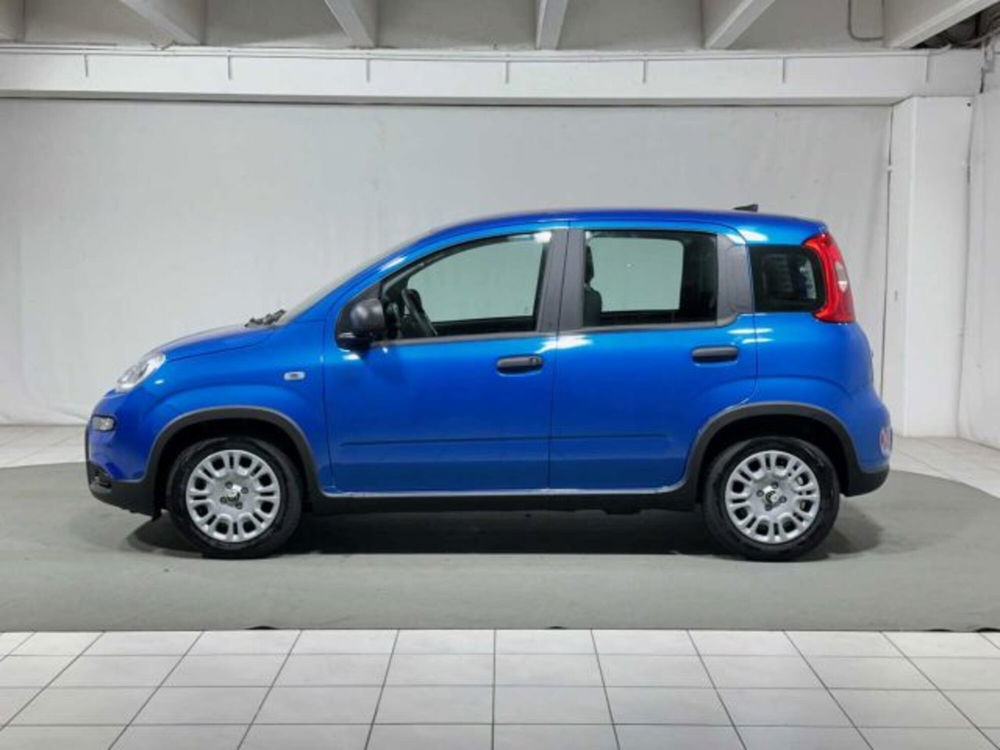 Fiat Panda nuova a Sondrio (2)