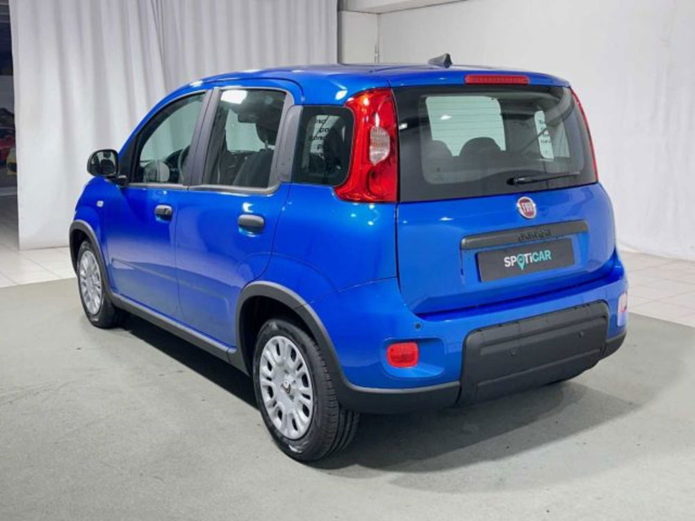 Fiat Panda nuova a Sondrio (3)