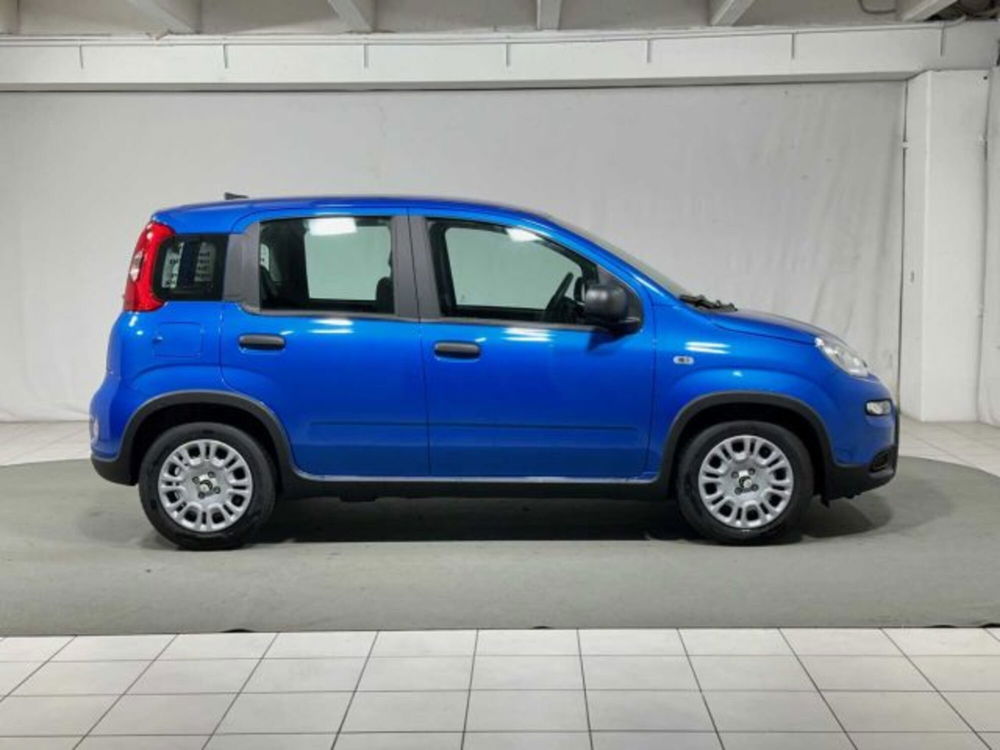 Fiat Panda nuova a Sondrio (6)