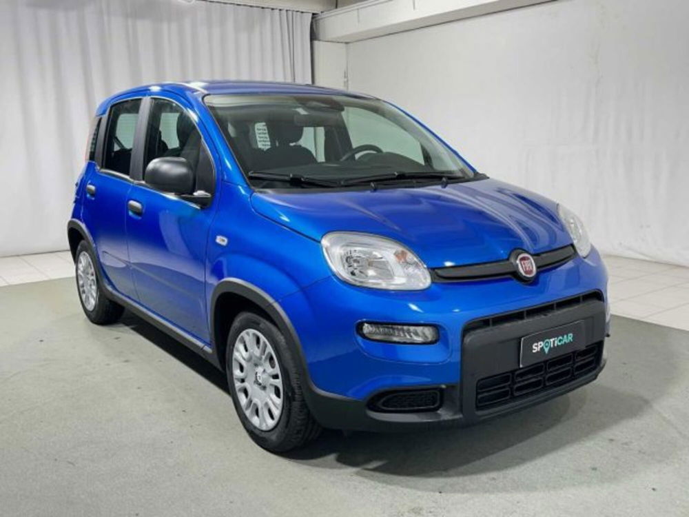 Fiat Panda nuova a Sondrio (7)