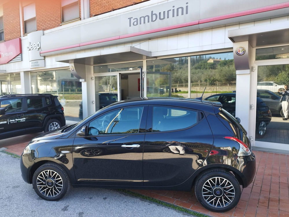 Lancia Ypsilon usata a Arezzo (6)