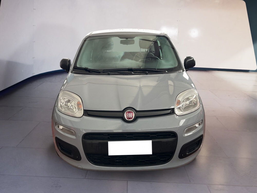 Fiat Panda usata a Torino