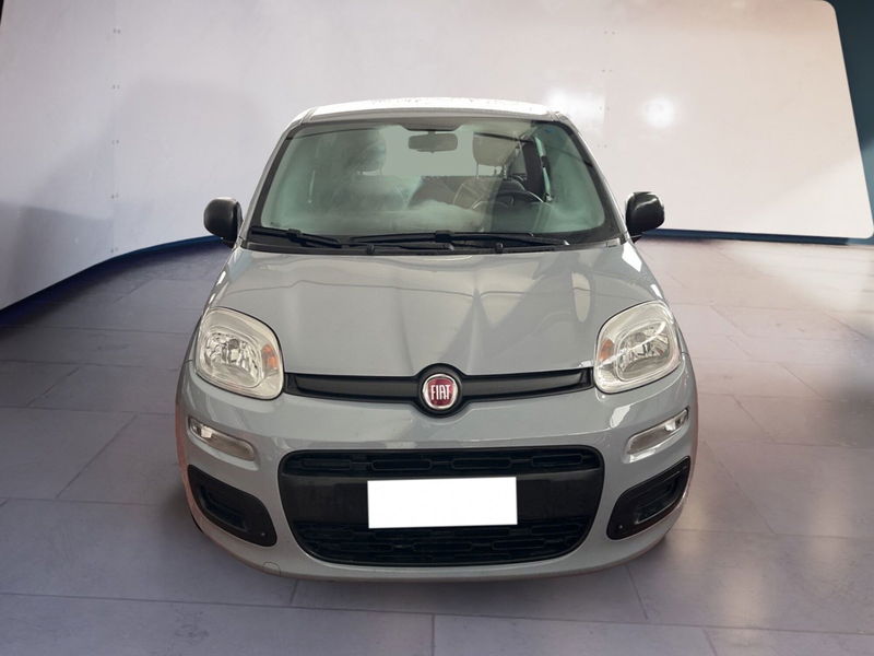 Fiat Panda 1.0 firefly hybrid s&amp;s 70cv 5p.ti del 2021 usata a Torino