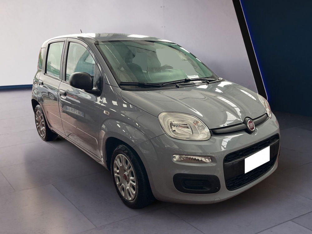 Fiat Panda usata a Torino (2)