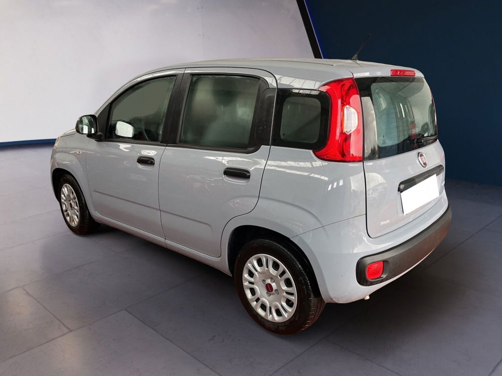 Fiat Panda usata a Torino (4)