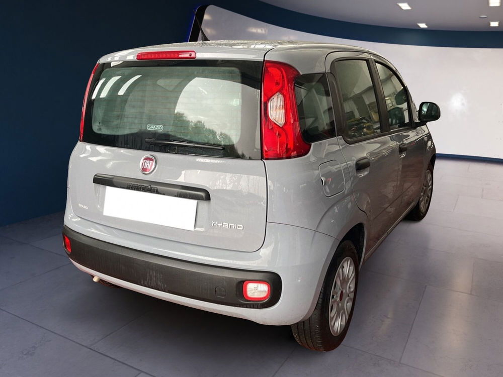 Fiat Panda usata a Torino (6)