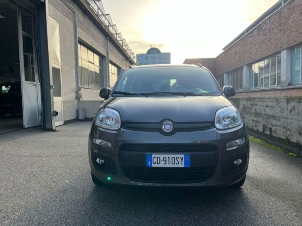 Fiat Panda usata a Torino (2)