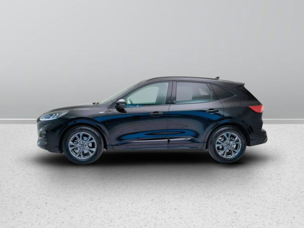 Ford Kuga usata a Teramo (3)