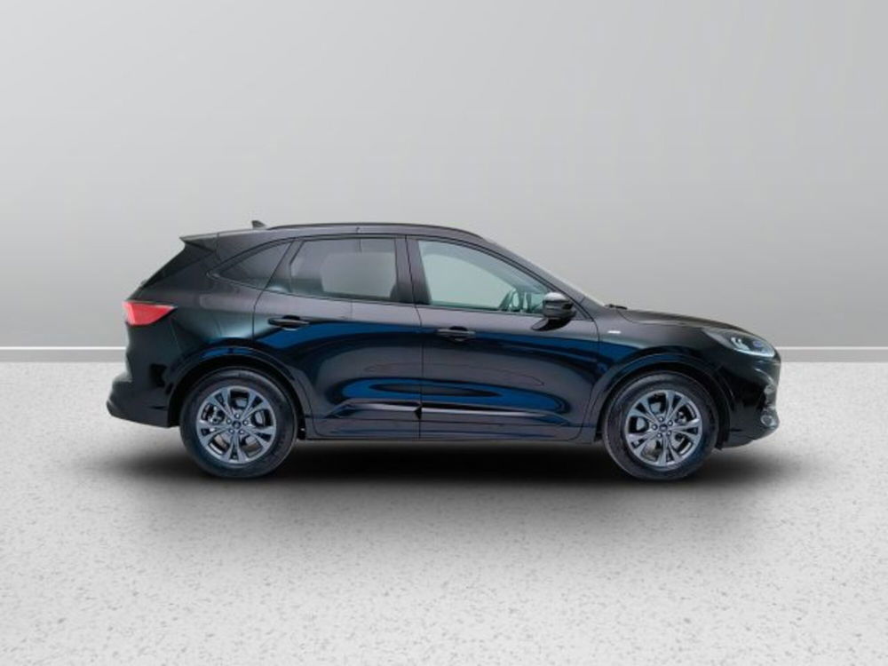 Ford Kuga usata a Teramo (7)