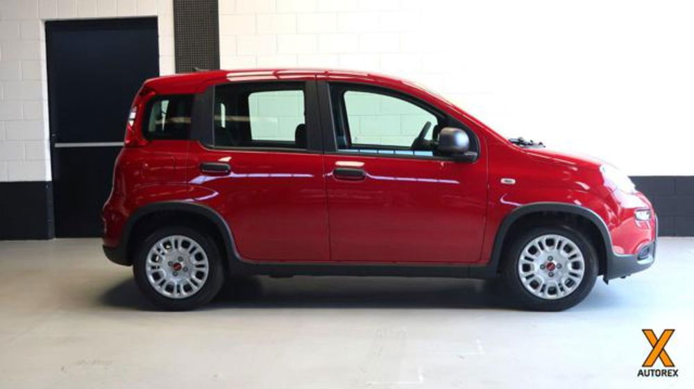 Fiat Panda nuova a Varese (3)