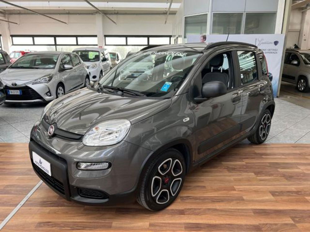 Fiat Panda usata a Modena