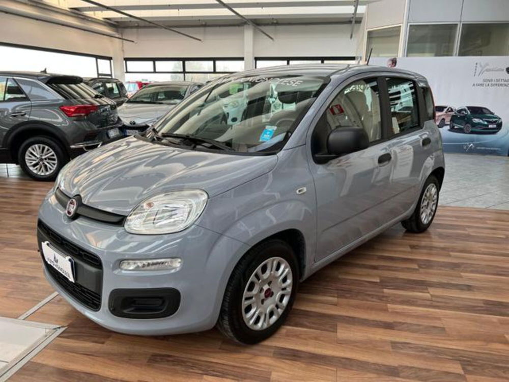 Fiat Panda usata a Modena