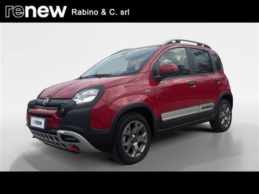 Fiat Panda Cross usata a Torino