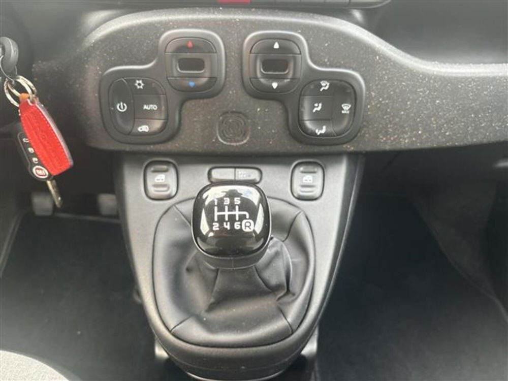 Fiat Panda Cross usata a Torino (10)