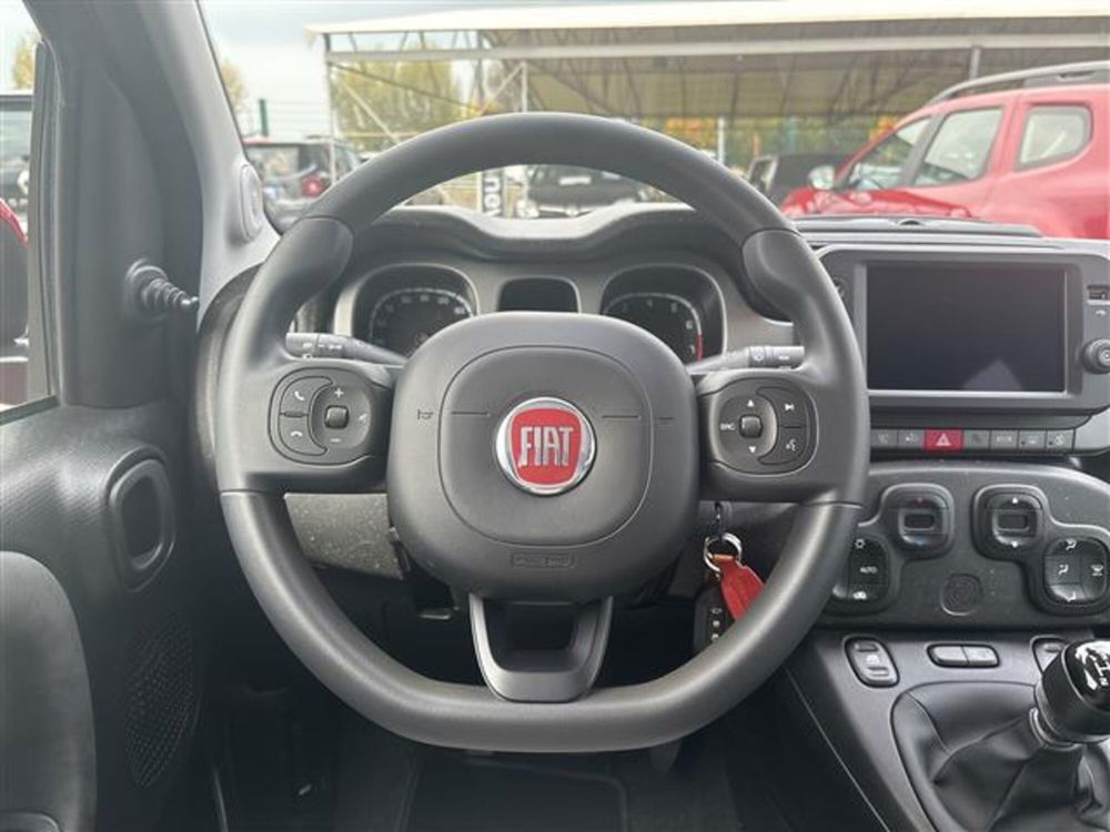 Fiat Panda Cross usata a Torino (14)