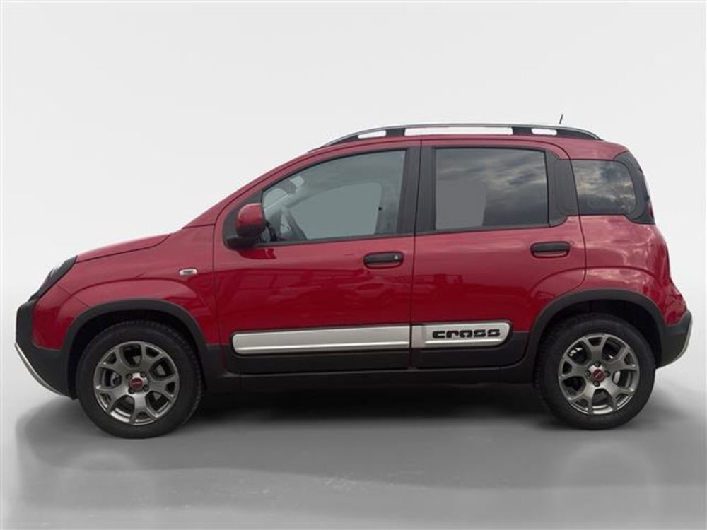 Fiat Panda Cross usata a Torino (2)