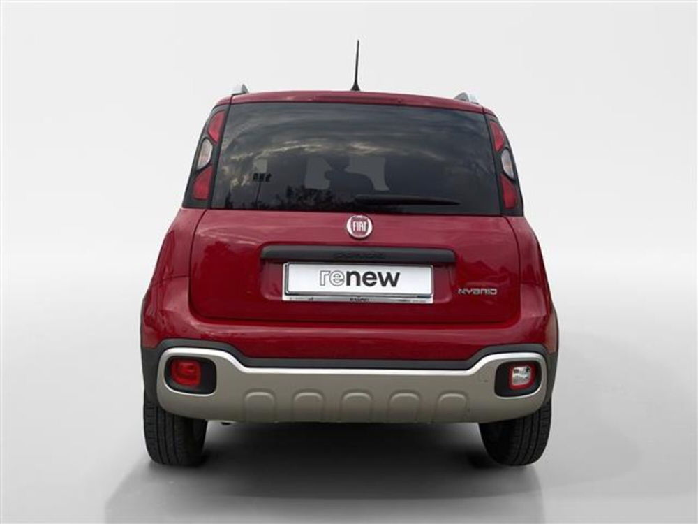 Fiat Panda Cross usata a Torino (3)