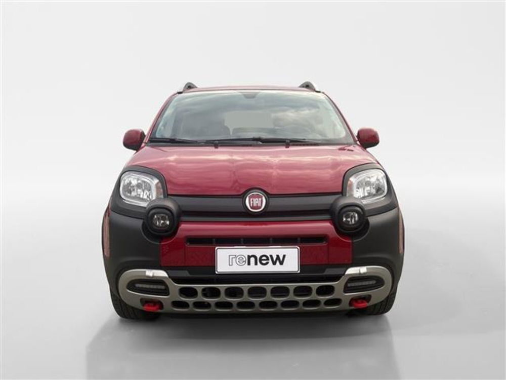 Fiat Panda Cross usata a Torino (4)