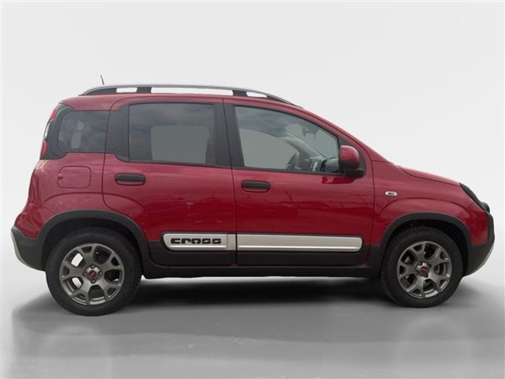 Fiat Panda Cross usata a Torino (5)