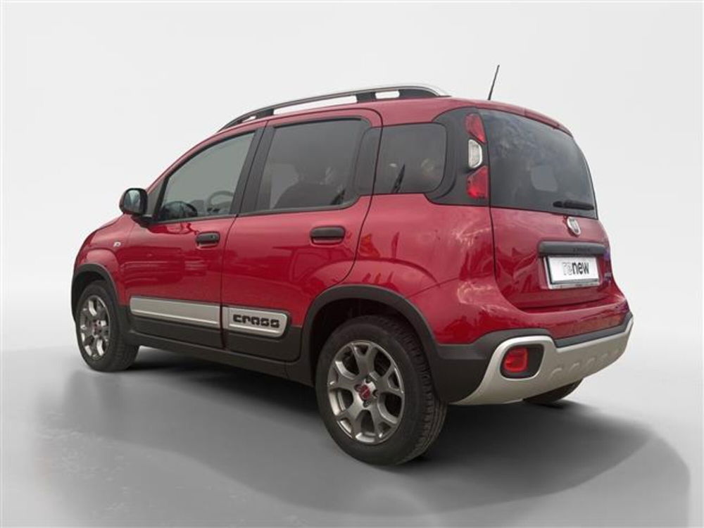 Fiat Panda Cross usata a Torino (6)