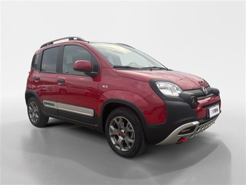 Fiat Panda Cross usata a Torino (8)