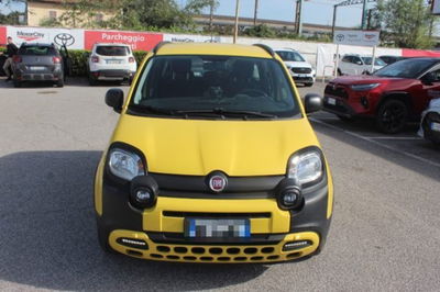 Fiat Panda Cross 1.0 firefly hybrid Cross s&amp;s 70cv 5p.ti del 2020 usata a Roma