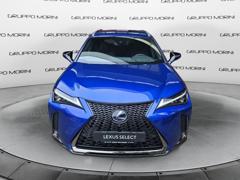 Lexus UX usata a Bologna (2)