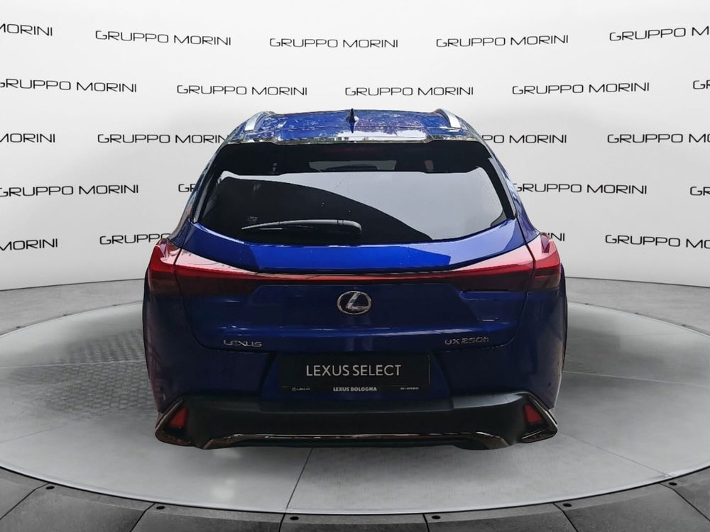 Lexus UX usata a Bologna (5)