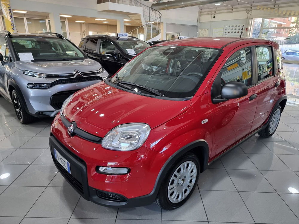 Fiat Panda Cross nuova a Prato (2)