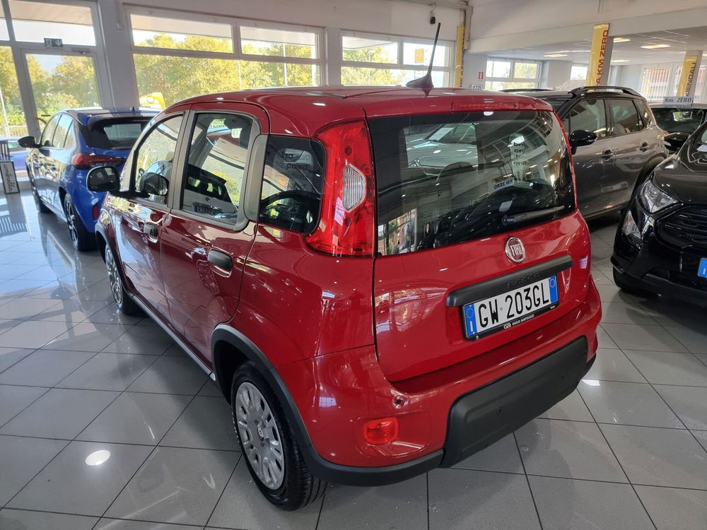 Fiat Panda Cross nuova a Prato (6)