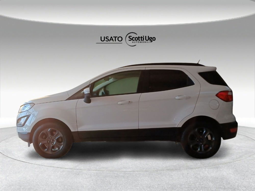 Ford EcoSport usata a Firenze (5)