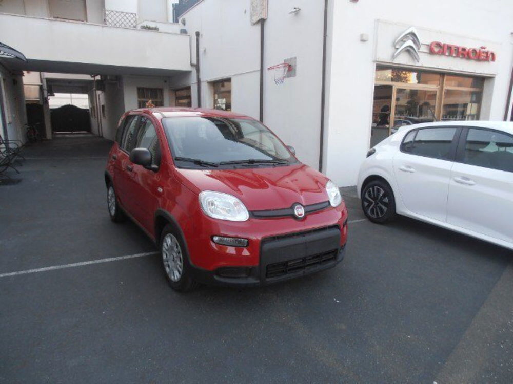 Fiat Panda Cross nuova a Livorno (3)