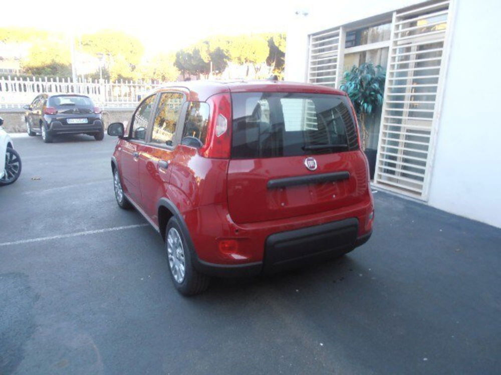 Fiat Panda Cross nuova a Livorno (4)