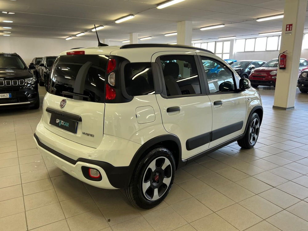 Fiat Panda Cross usata a Arezzo (4)