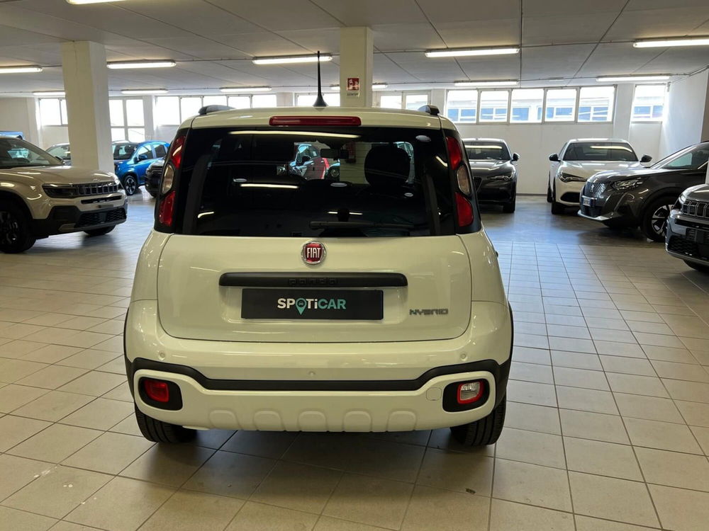 Fiat Panda Cross usata a Arezzo (5)