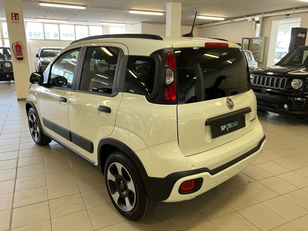 Fiat Panda Cross usata a Arezzo (7)