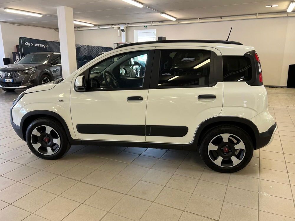 Fiat Panda Cross usata a Arezzo (8)