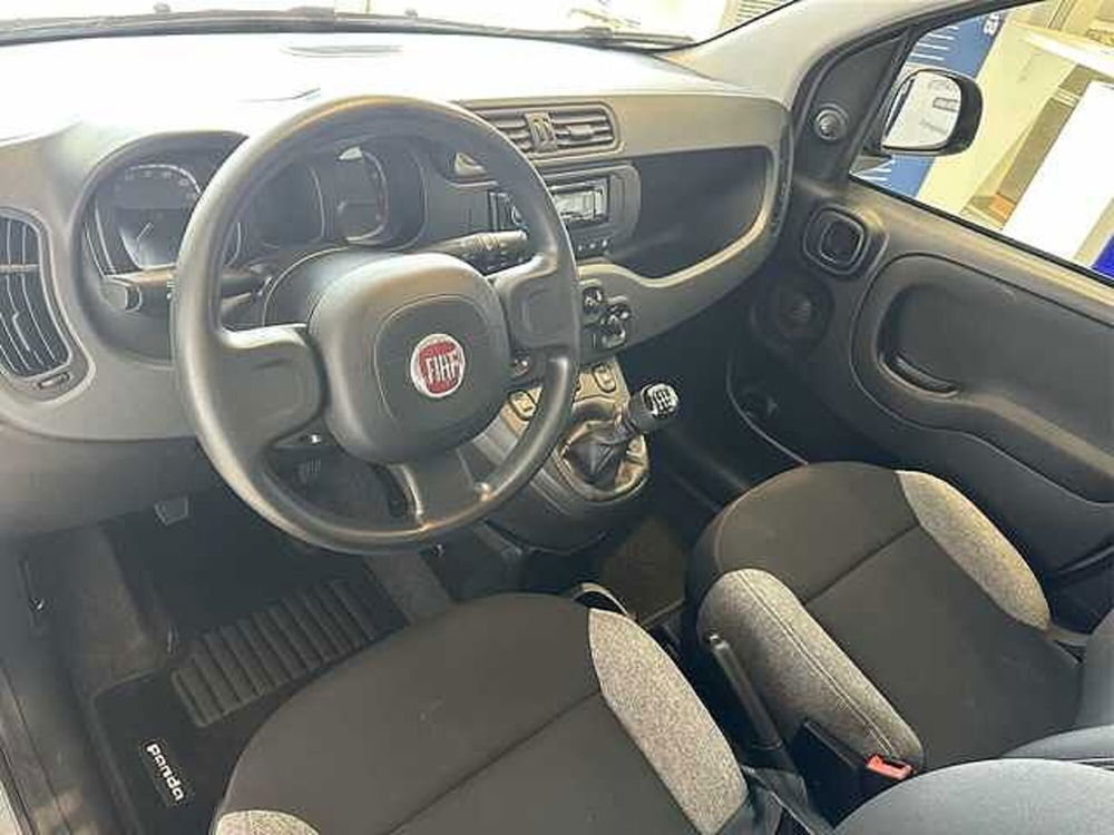 Fiat Panda usata a Cosenza (8)