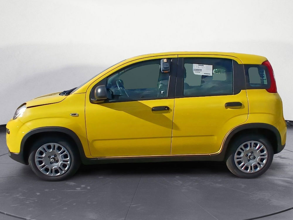 Fiat Panda Cross nuova a Lecce (2)