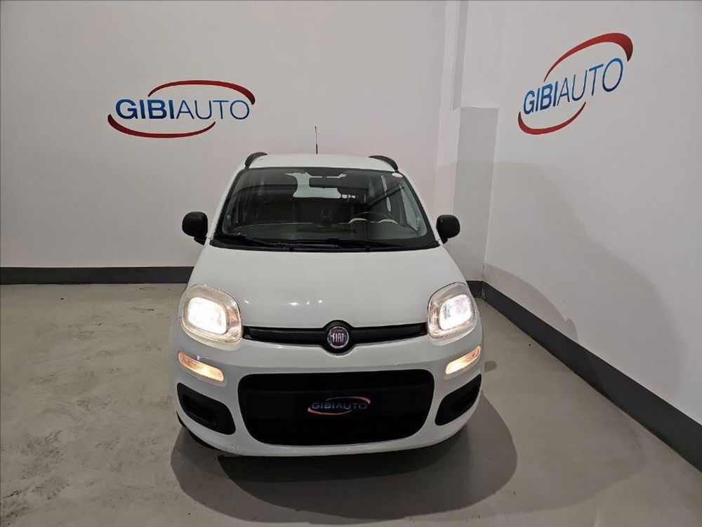 Fiat Panda nuova a Palermo (2)