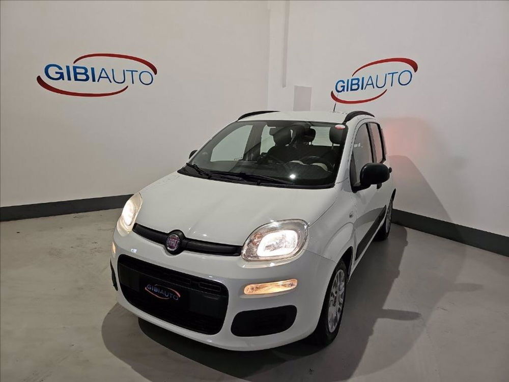 Fiat Panda nuova a Palermo (3)