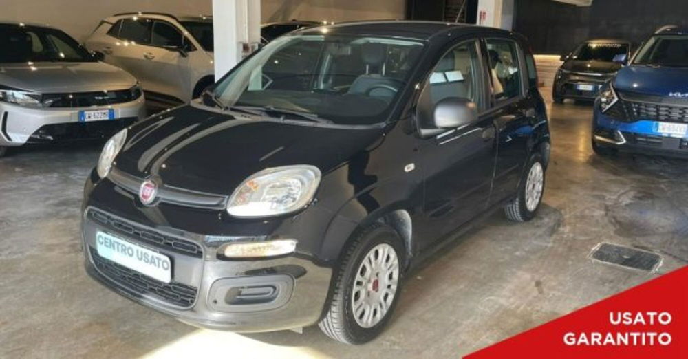 Fiat Panda usata a Perugia (2)