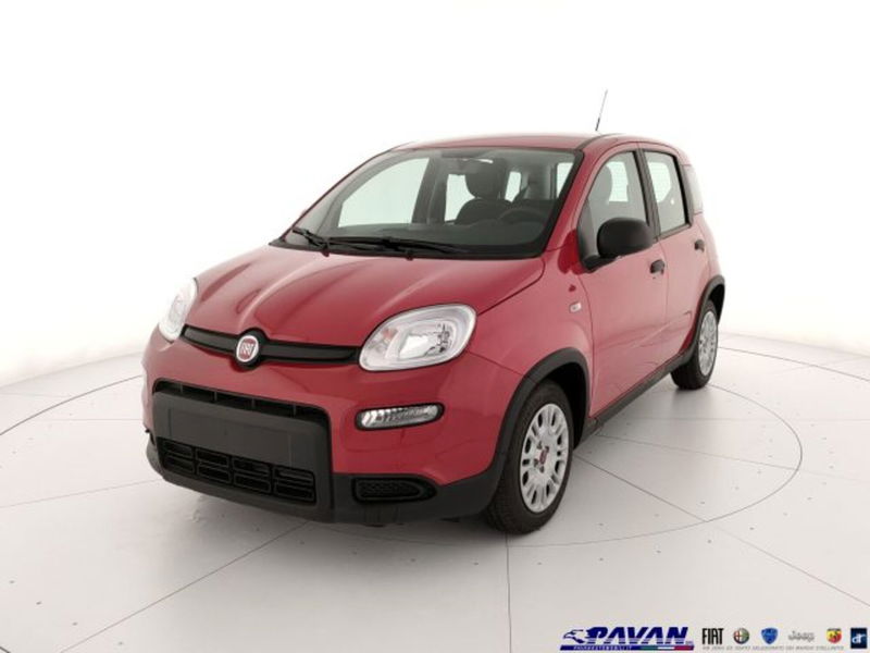 Fiat Panda 1.0 firefly hybrid s&amp;s 70cv 5p.ti nuova a Piove di Sacco