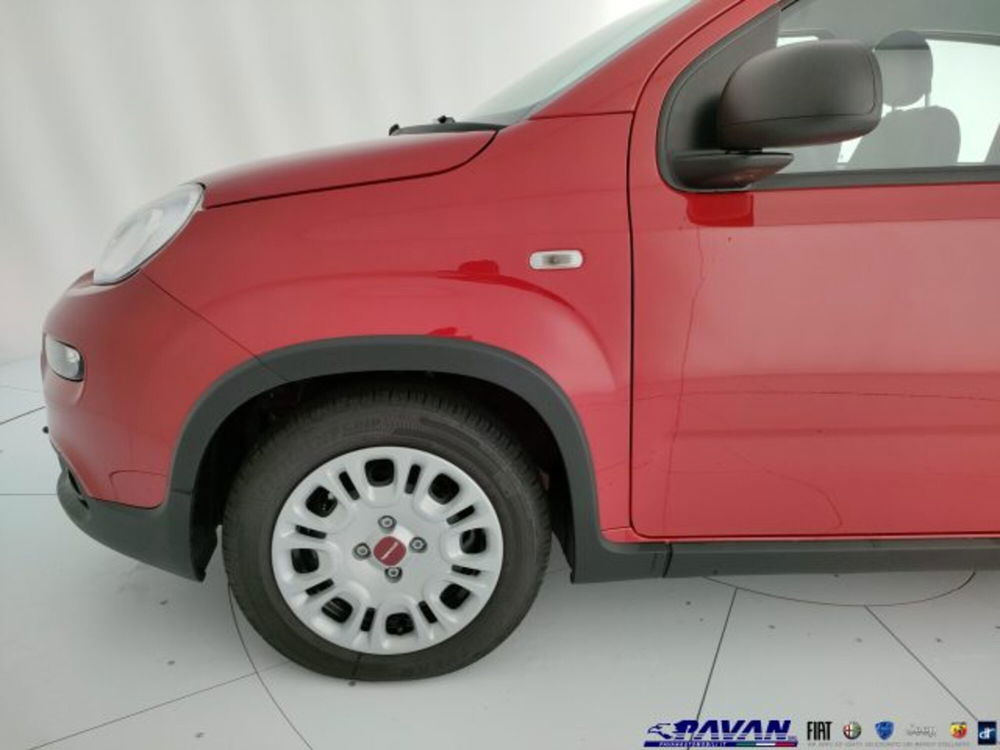 Fiat Panda nuova a Padova (18)