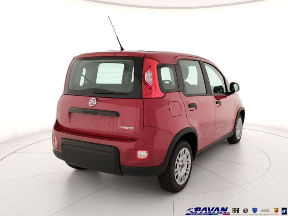 Fiat Panda nuova a Padova (3)