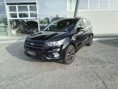 Ford Kuga 2.0 TDCI 120 CV S&amp;S 2WD Powershift Stealth del 2019 usata a Ancona