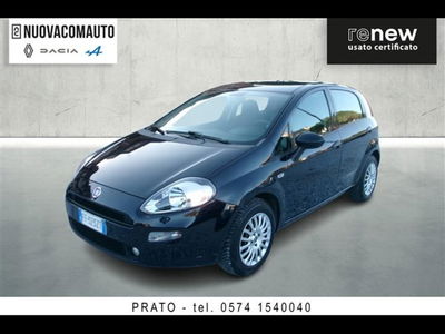 Fiat Punto 1.2 8V 5 porte Street  del 2016 usata a Sesto Fiorentino