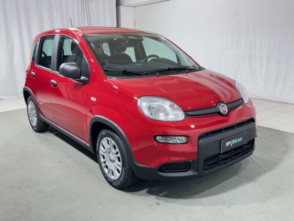 Fiat Panda nuova a Sondrio (7)