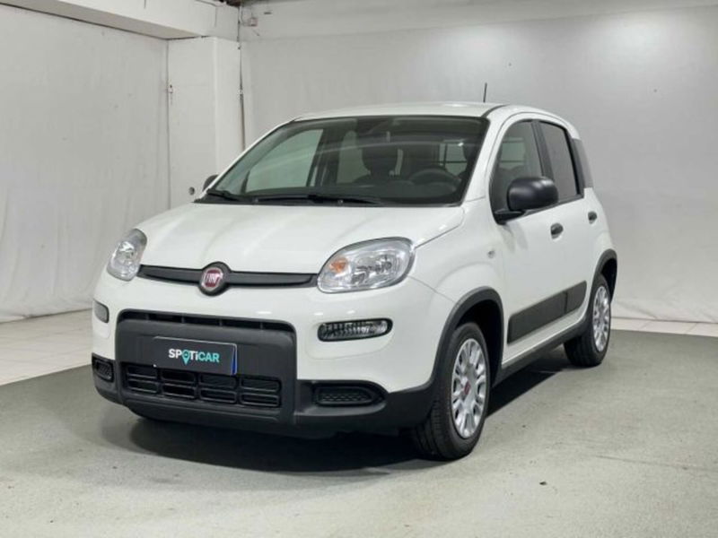 Fiat Panda 1.0 firefly hybrid s&amp;s 70cv 5p.ti nuova a Caspoggio