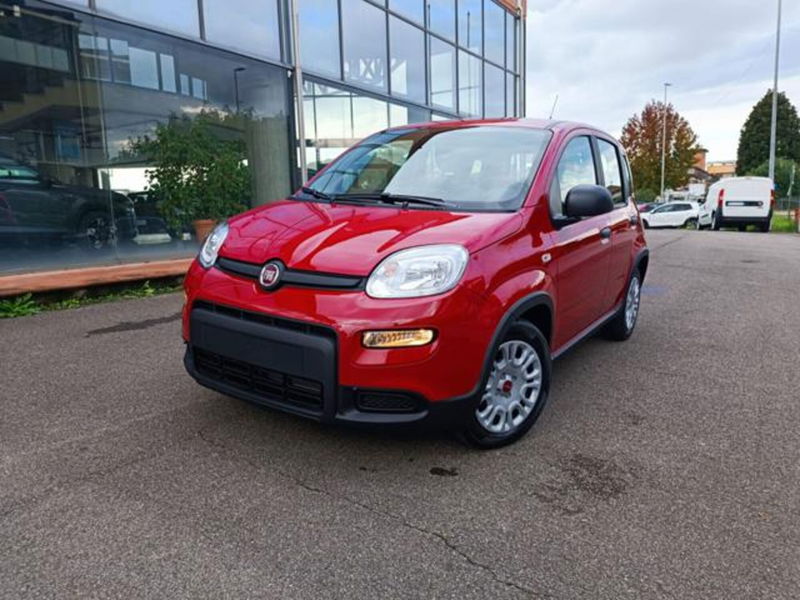 Fiat Panda 1.0 firefly hybrid s&amp;s 70cv 5p.ti nuova a Castelfranco di Sotto